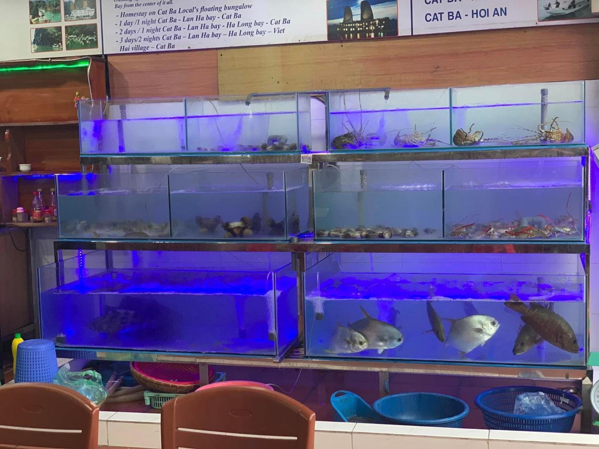 Phuong Phuong Hotel Dong Khe Sau Bagian luar foto